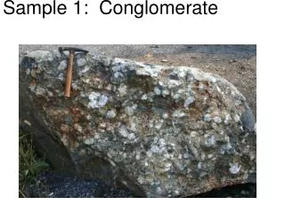 Sample 1: Conglomerate