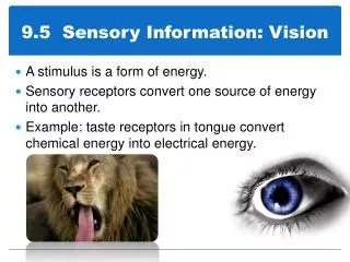 9.5 Sensory Information: Vision