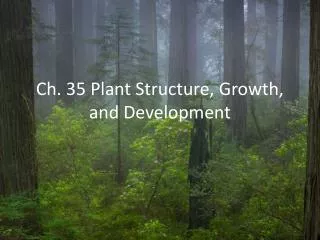 Ch. 35 Plant Structure, Growth, and Development
