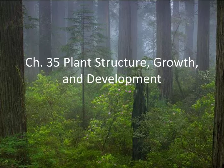 ch 35 plant structure growth and development