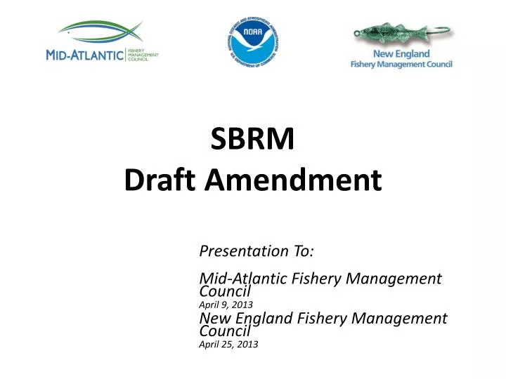 sbrm draft amendment