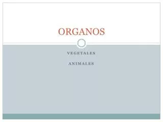 organos