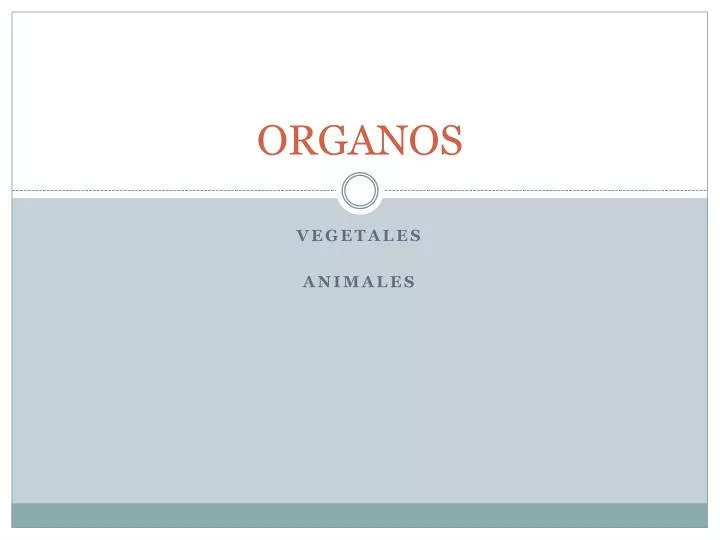 organos