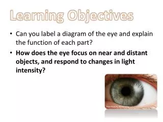 Learning Objectives