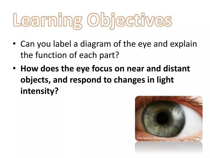 learning objectives