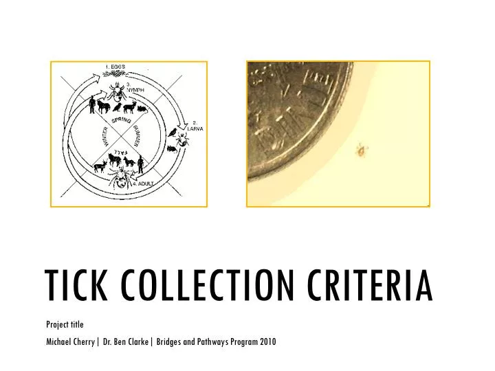 tick collection criteria