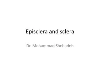 Episclera and sclera