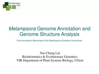 Melampsora Genome Annotation and Genome Structure Analysis