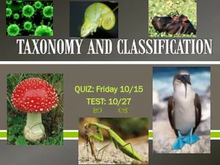 TAXONOMY AND CLASSIFICATION