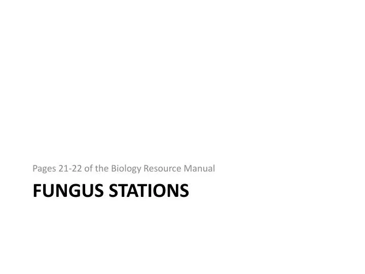 fungus stations