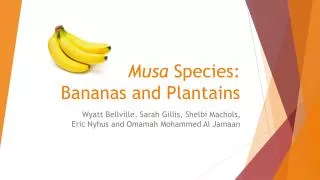 Musa Species: Bananas and Plantains