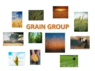 GRAIN GROUP