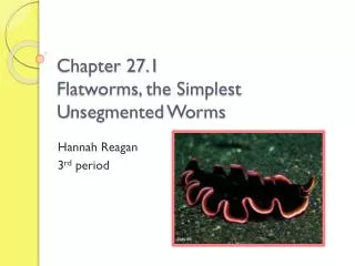 Chapter 27.1 Flatworms, the Simplest U nsegmented Worms