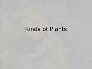 Kinds of Plants
