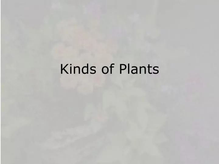 kinds of plants
