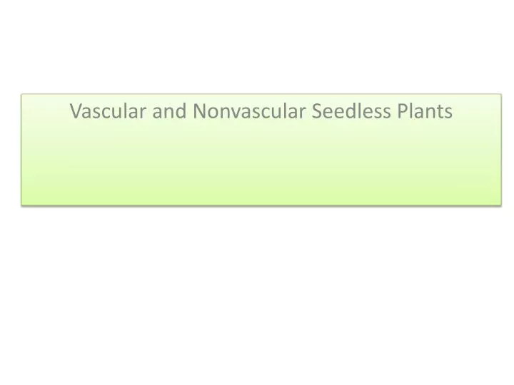 vascular and nonvascular seedless plants