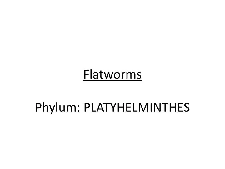 flatworms phylum platyhelminthes