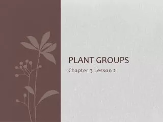 Plant Groups