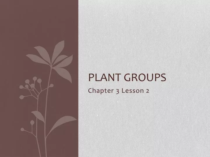 plant groups