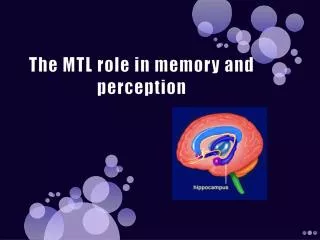 The MTL role in memory and perception