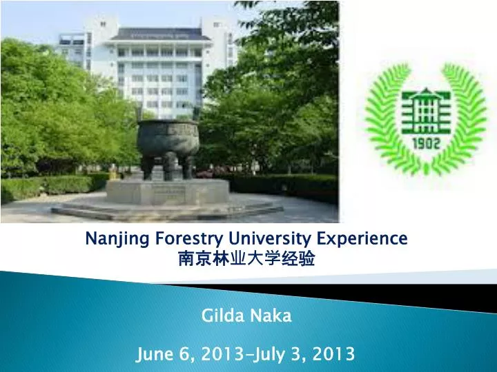 nanjing forestry university experience gilda naka june 6 2013 july 3 2013