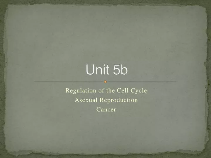 unit 5b