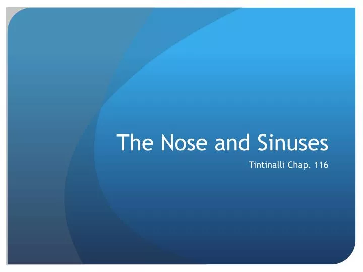 the nose and sinuses