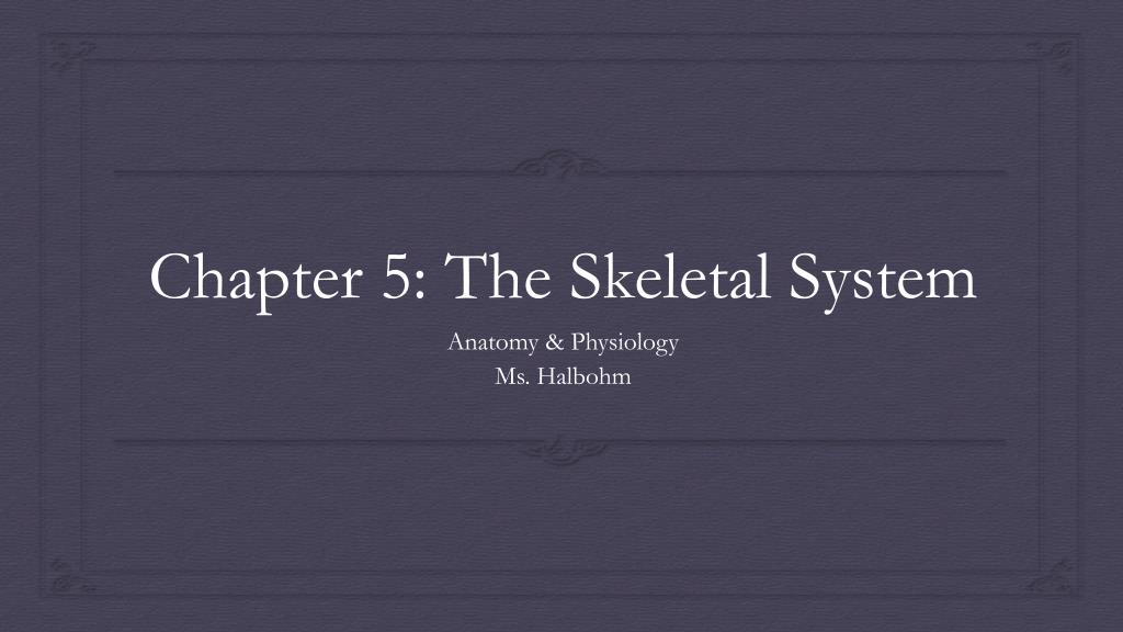 PPT - Chapter 5: The Skeletal System PowerPoint Presentation, free ...