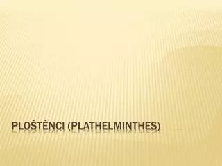 plo t nci plathelminthes