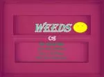 Weeds - slide 1