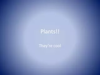 Plants!!