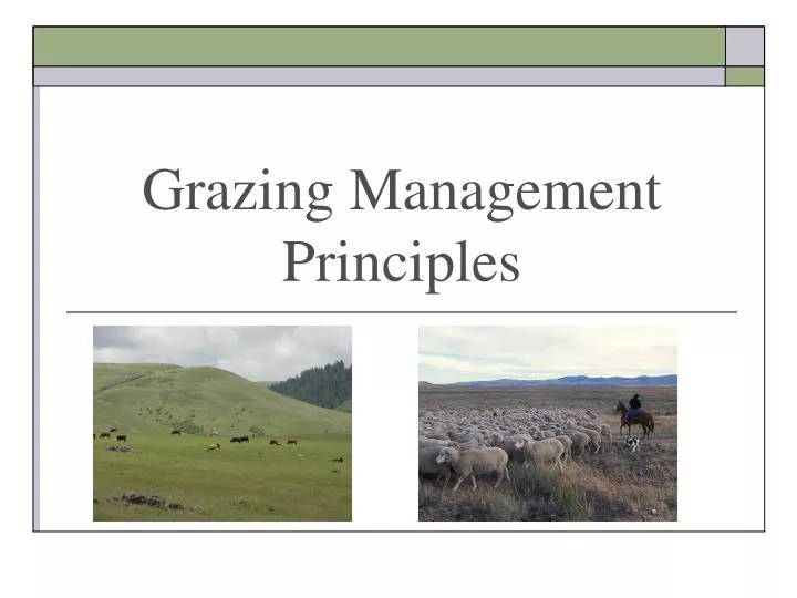 grazing management principles