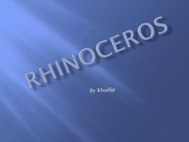 rhinoceros