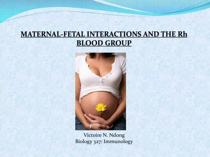 maternal fetal interactions and the rh blood group