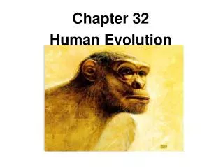 Chapter 32 Human Evolution