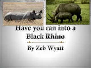 Have you ran into a B lack Rhino