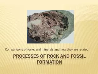 Processes of rock and fossil formation