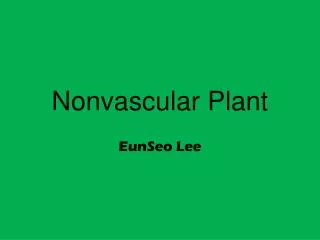 Nonvascular Plant