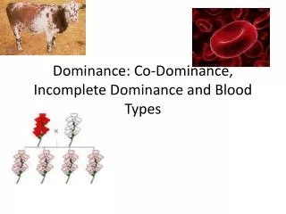 Dominance: Co-Dominance, Incomplete Dominance and Blood Types