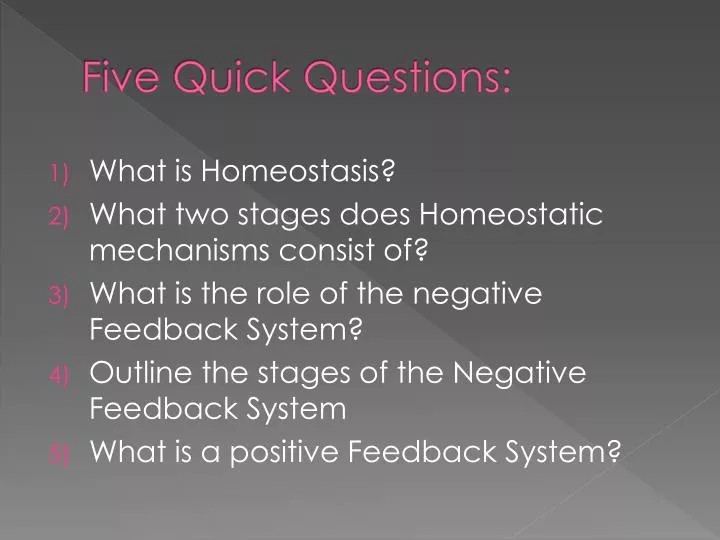 five quick questions