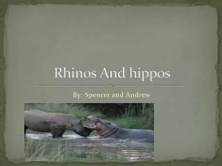 Rhinos A nd hippos