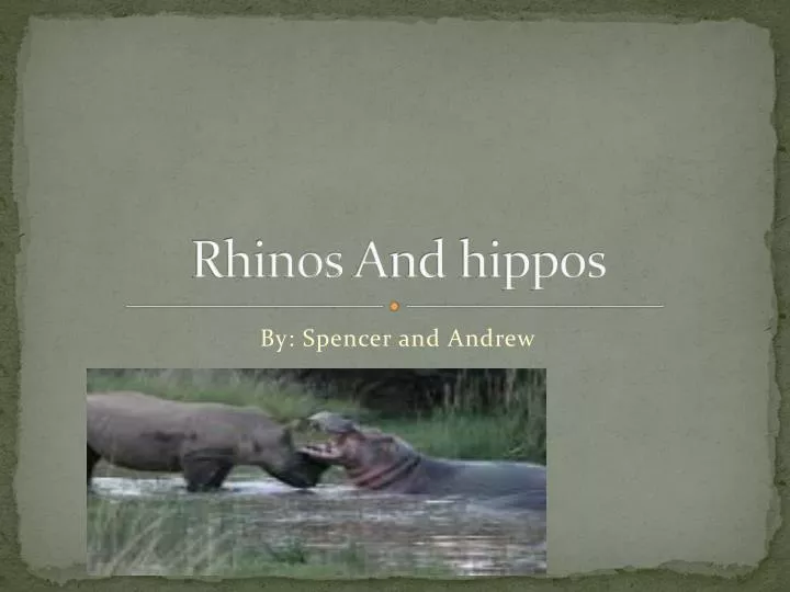 rhinos a nd hippos