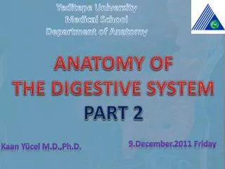 ANATOMY OF THE DIGESTIVE SYSTEM PART 2