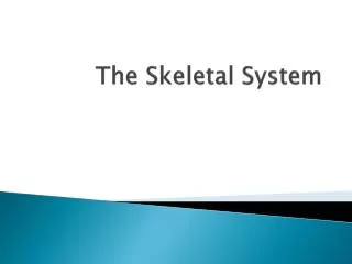 The Skeletal System