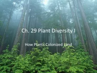 Ch. 29 Plant Diversity I