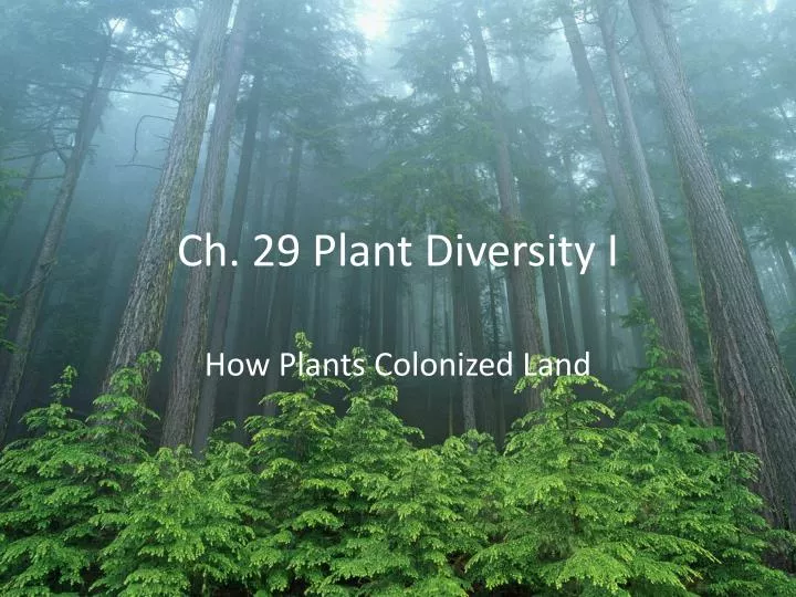 ch 29 plant diversity i