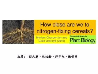 How close are we to nitrogen-fixing cereals?