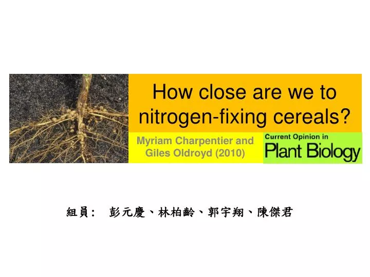 how close are we to nitrogen fixing cereals