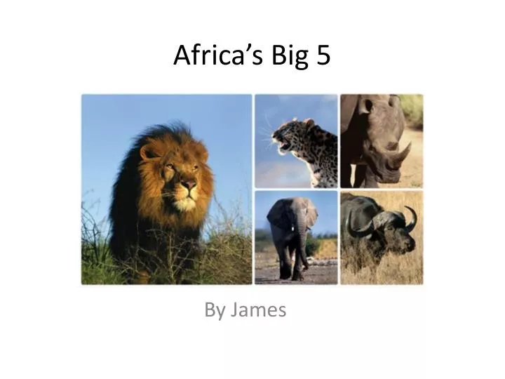 africa s big 5
