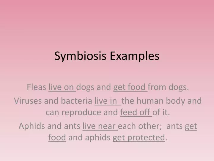 symbiosis examples